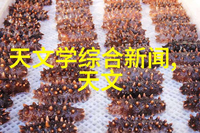 逆止器技术高效能制动系统