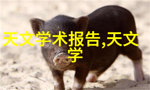 机械之心重生与再造的故事