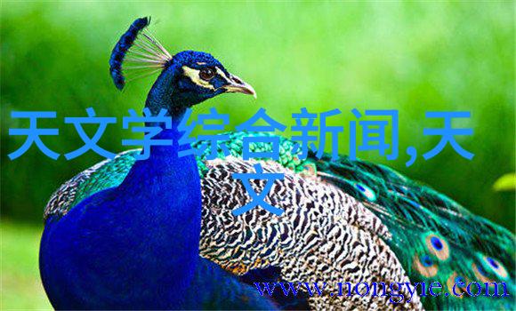 我和我的实验室水浴锅