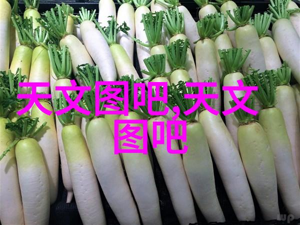 智能健康监测与运动跟踪系统