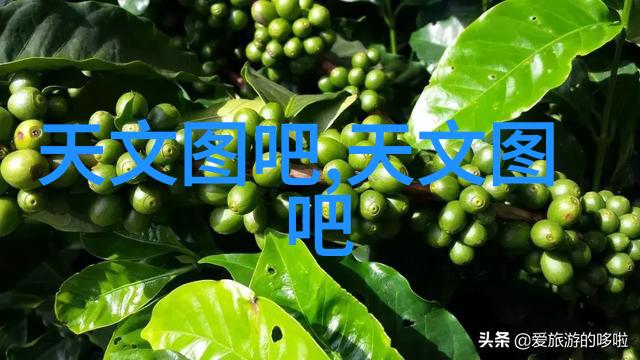 不锈钢制品视觉研究图像分析与设计创新
