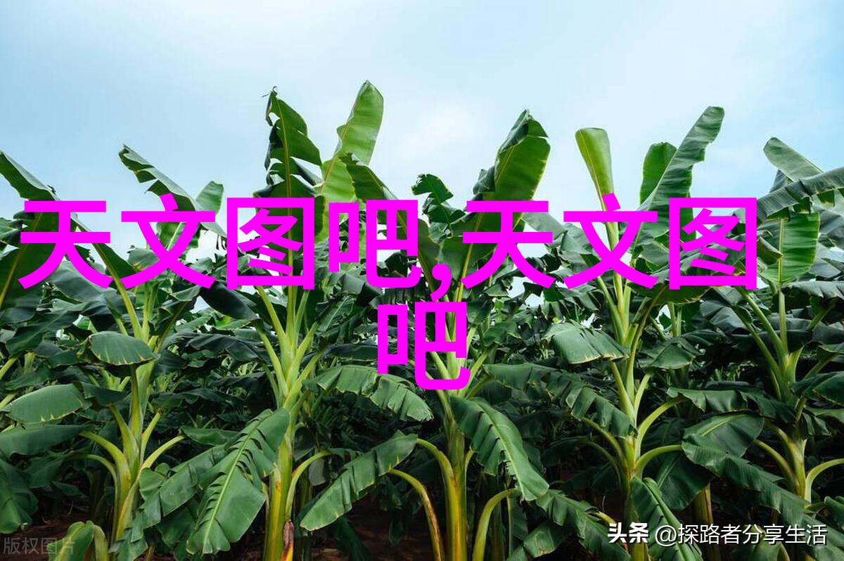 黑色潮流之下沥青搅拌设备的秘密