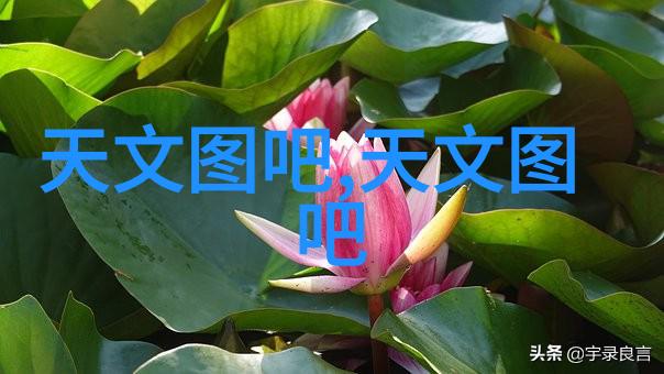 不锈钢板市场价格走势分析成本供需与未来趋势探究