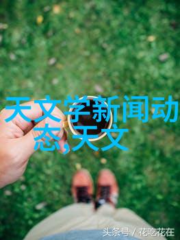 制定高效申请报告掌握格式范文模板的艺术