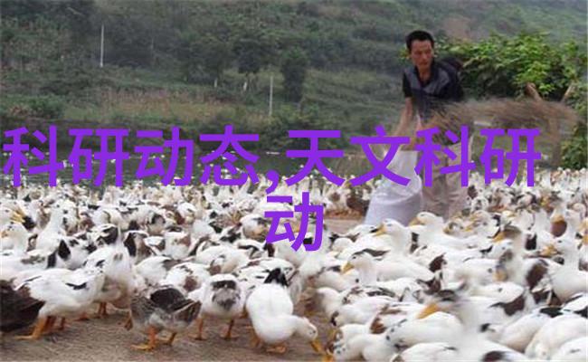 振动电机的应用与未来发展方向