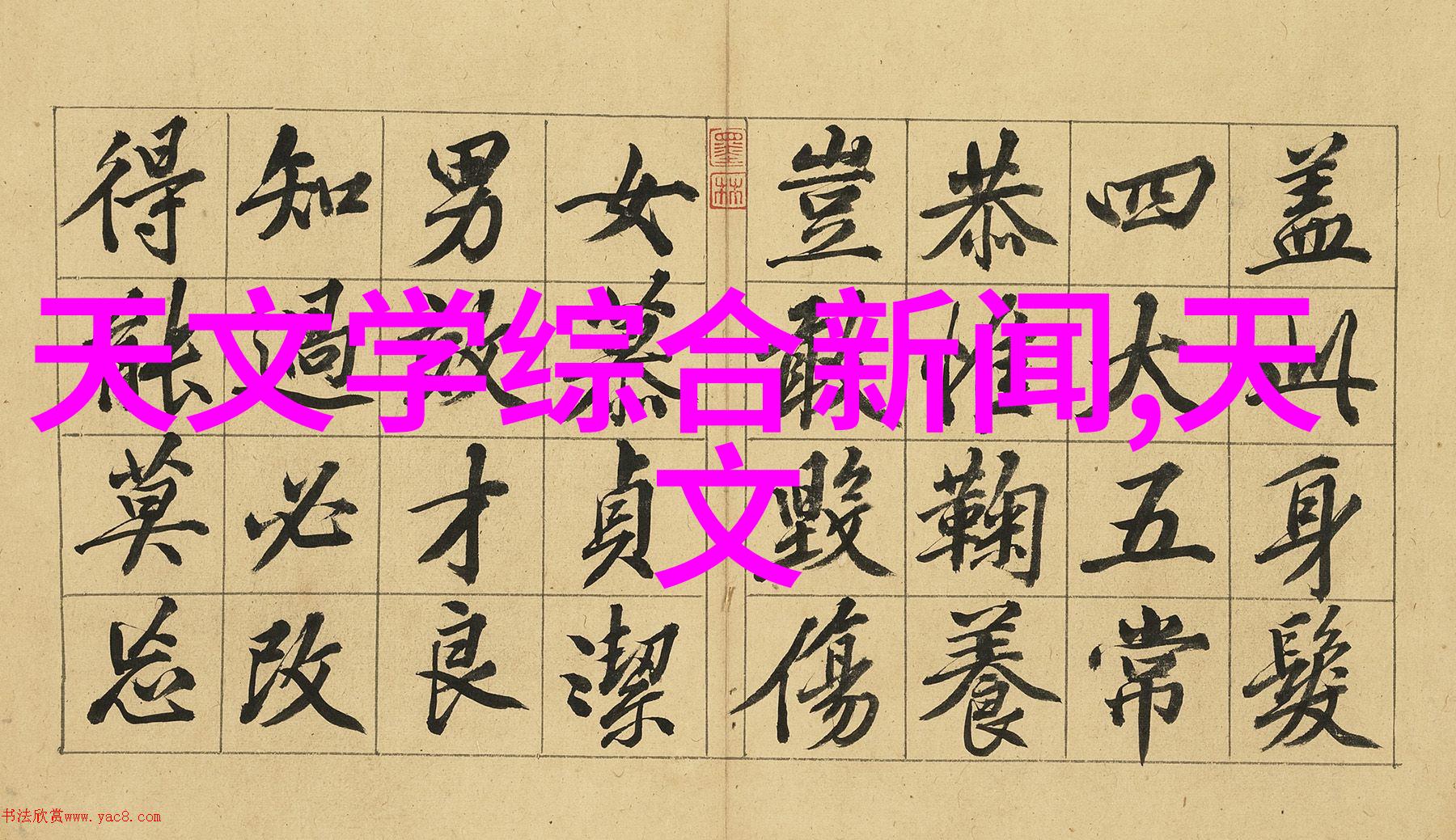 蜜芽忘忧草老狼二区欢迎您-悠然自得探索蜜芽忘忧草与老狼二区的和谐共生