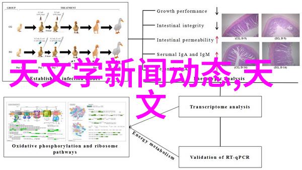新手科研者的自制实验室用小型加热炉教程