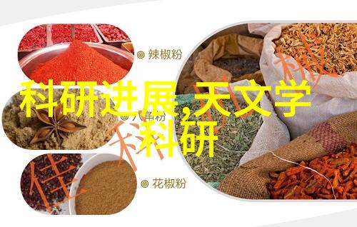 费用申请报告撰写指南与模板使用技巧