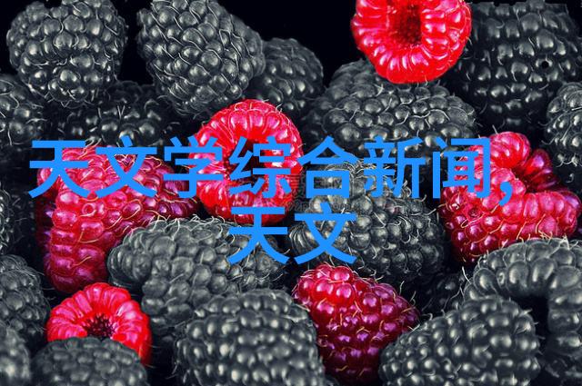 医疗洁净的守护者医用高压蒸汽灭菌锅的神秘力量