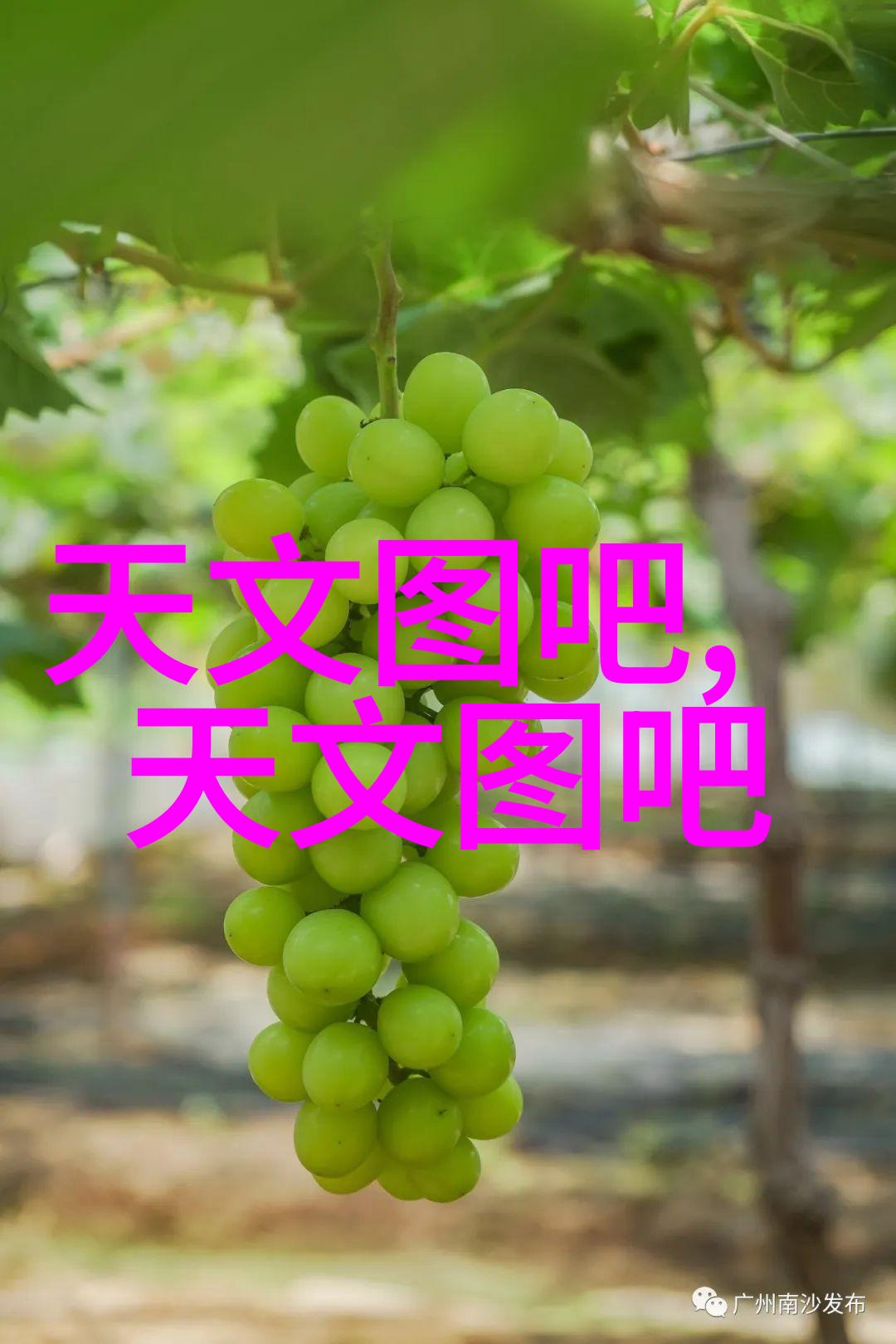 提升机厂家推动物流效率的智慧升级