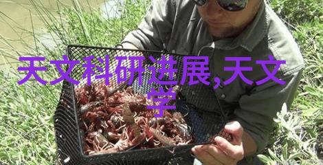 在编写开题报告时哪些部分应该包含在研究内容模板中