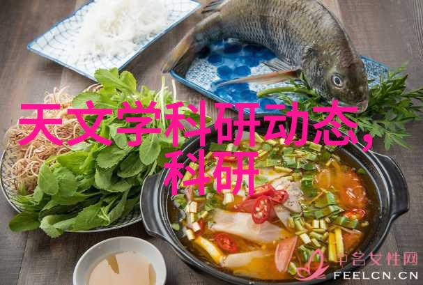 精细工艺与宏观功能分析半导体制备过程与芯片特性