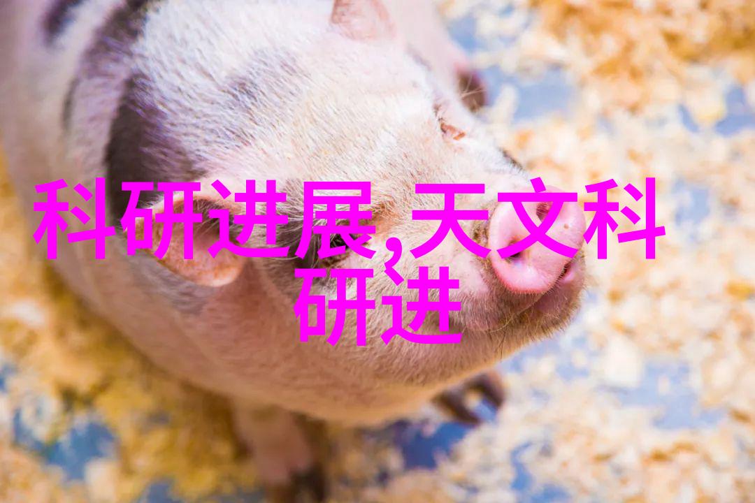 uhr150油水分离器在工业应用中的性能优化与维护策略研究