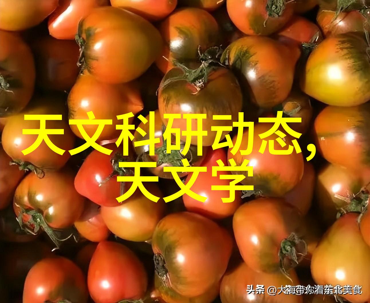 高效低能耗废水处理技术的未来趋势与应用前景探讨