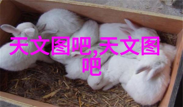 如何将6平米小卧室改造成为简约空间才能体现出2024年客厅装修的新趋势呢这些设计灵感能让你的家焕然一