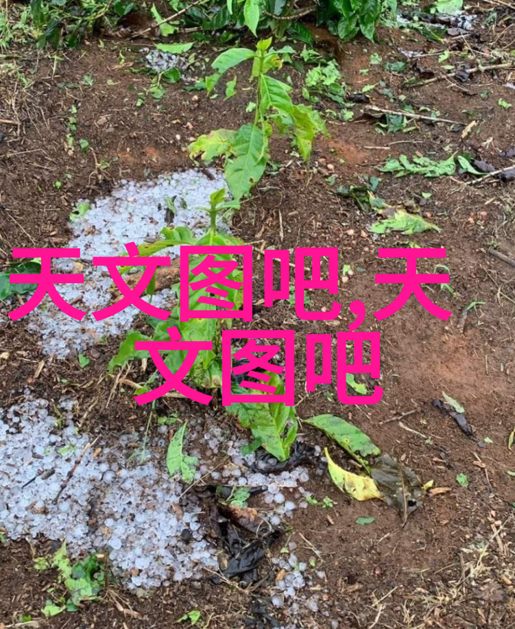 解锁历史秘密现代技术如何帮助我们清理和保护古墓葬