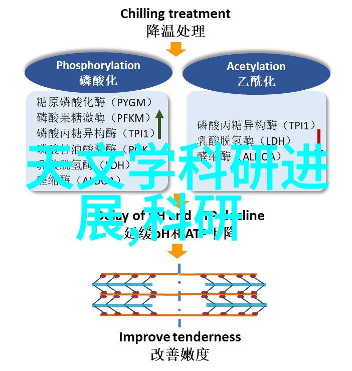环境友好型粉碎机设备开发的趋势分析