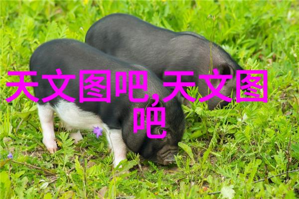 天文科研进展在加州分子云中发现的纤维状结构为恒星形成提供了新线索