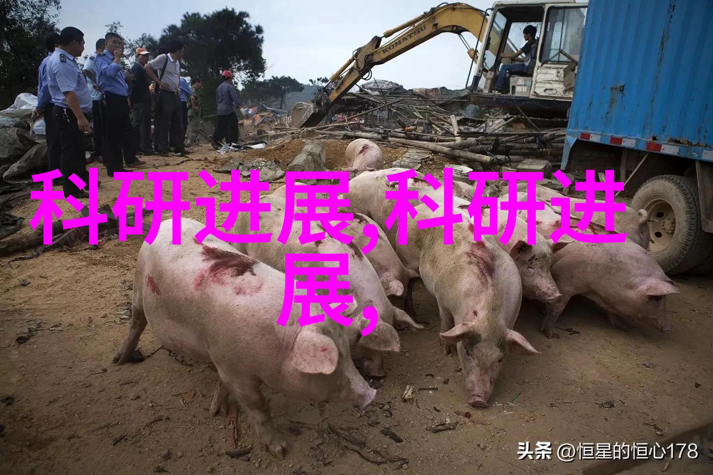 工作管理-一天工作总结的艺术如何回顾并提升每日成效