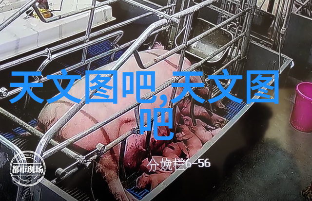 附近报废汽车拆解厂联系方式环保汽车回收服务