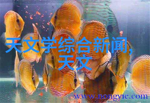 混搭文化的数字时代史上第一混搭下载探秘