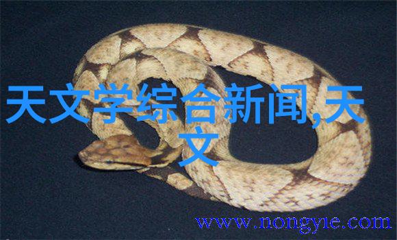 化工制冷设备高效能的工业冷却解决方案