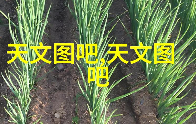 水净灵清泉之源的秘密工艺