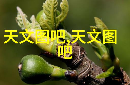三全食品的营养价值研究从传统菜肴到现代健康饮食的视角