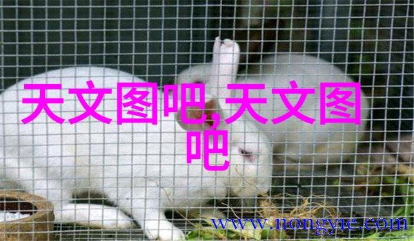 化工采购平台物流之舟工业链的桥梁