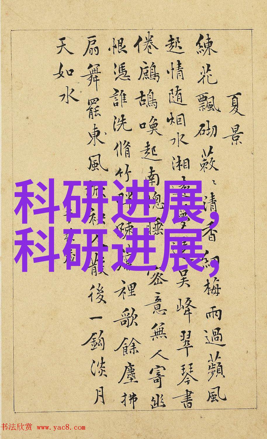 不锈钢的魅力坚固耐用与现代设计的完美结合