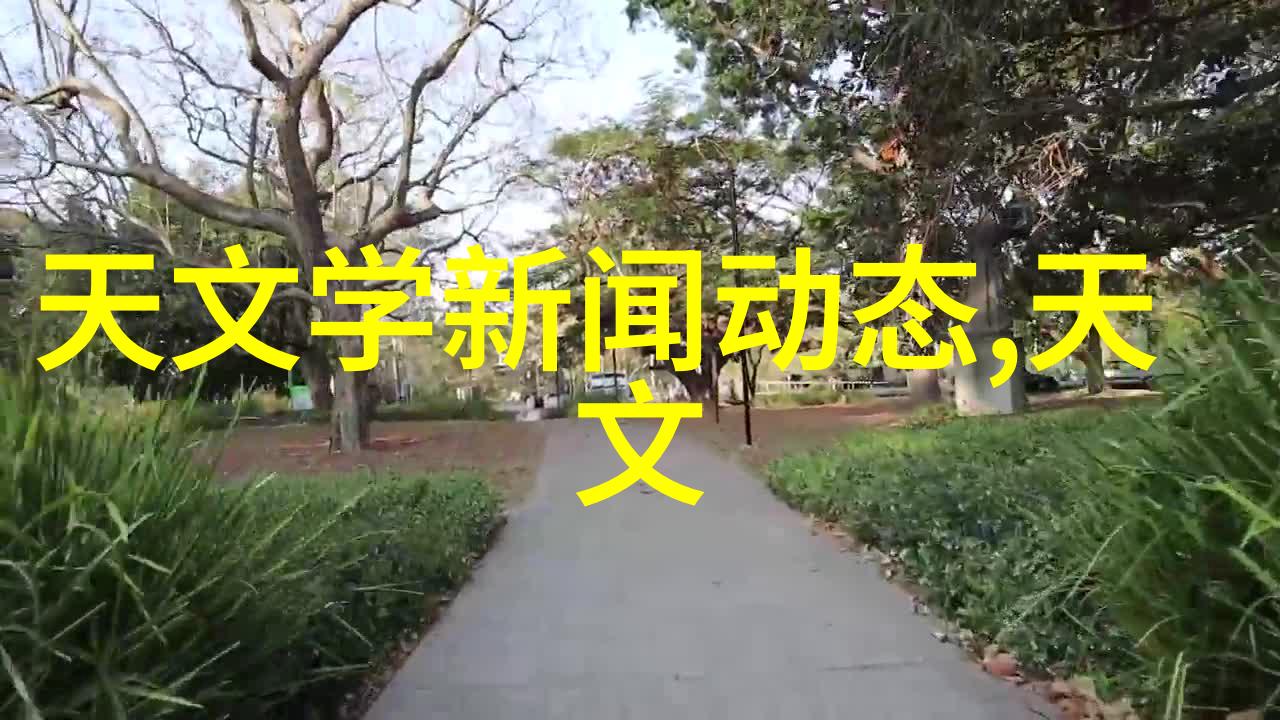 布袋除尘器的专业布袋厂家高效环保除尘解决方案提供商