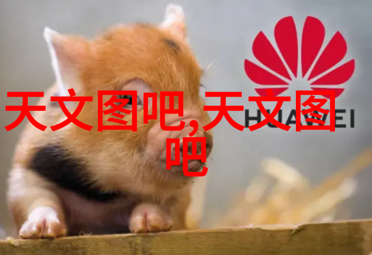 画面布局的艺术探索入画设计的奥秘