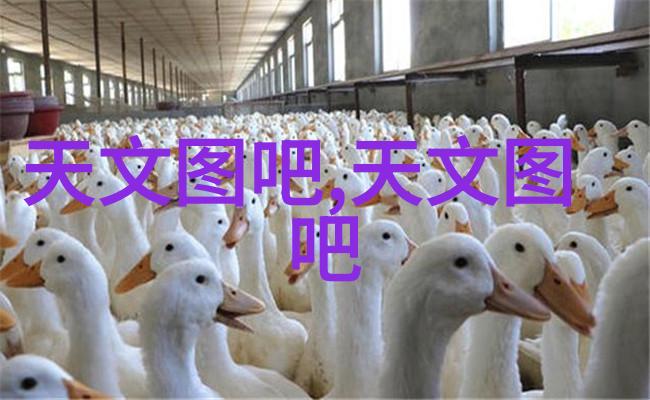 国产芯片新纪元性能与成本双提升的革命性突破