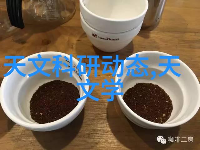 东岑西舅互相口片段-跨代传承东岑西舅的口头记忆