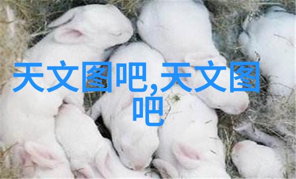 宇航员训练中难道没有使用水切网式全自动固液分离系统来模拟旋转离心机的作用吗