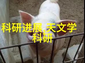 锤子新品发布会2017 - 破晓之声揭秘锤子科技2017年新产品盛宴