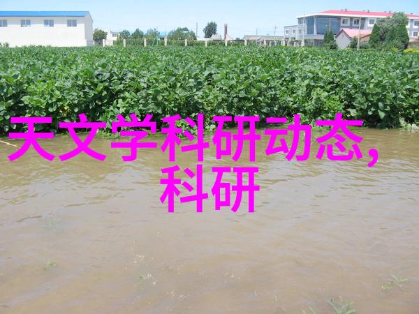 输送机设备提升物流效率的智能传输解决方案
