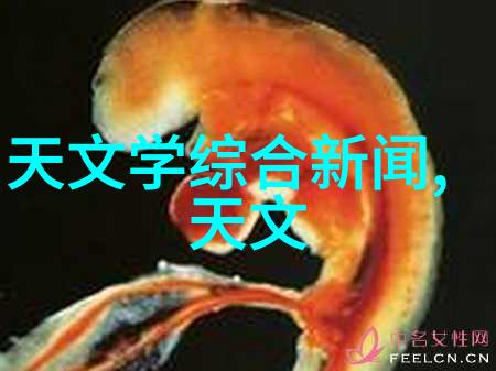 职业回顾追踪个人成长之旅