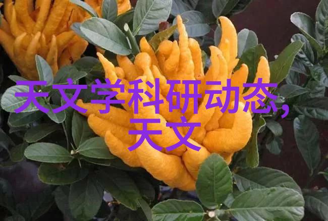 西南财经学术荟萃的香江春晓
