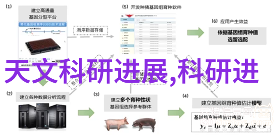 沉稳的躺椅与舞动的梦境固定床与流化床的对比篇章