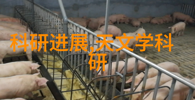 安装和调试高压蒸汽灭菌锅指南
