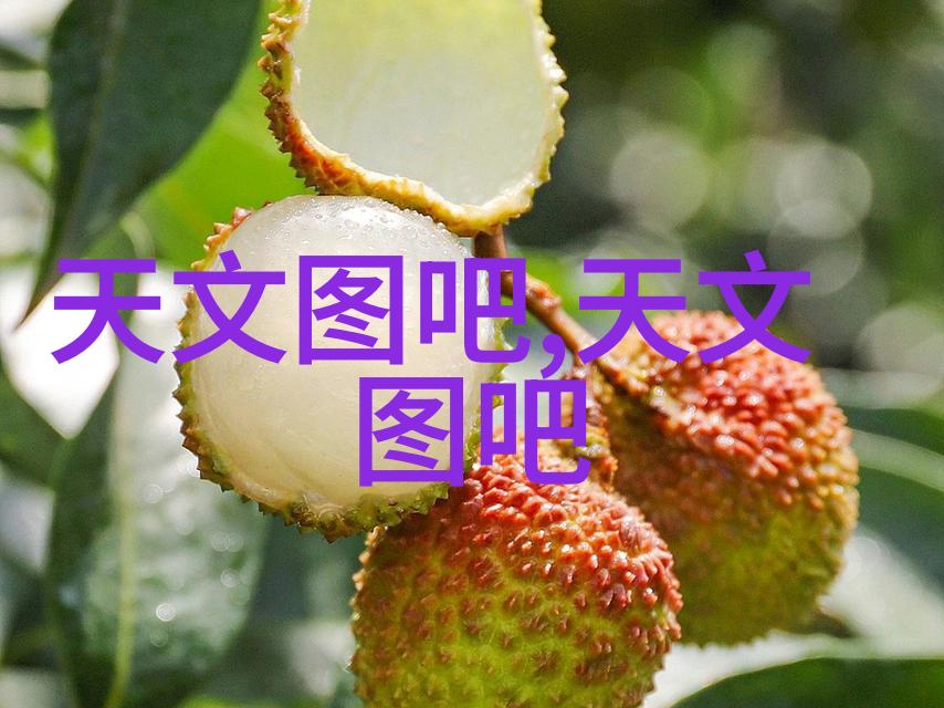 在小型实验中是否也能使用专业级别的化工洁净室设备为什么或为什么不呢