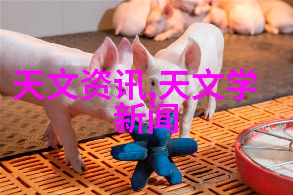 中国中车集团在股市中的权重地位分析