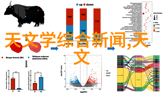 化工机械的专业领域探究