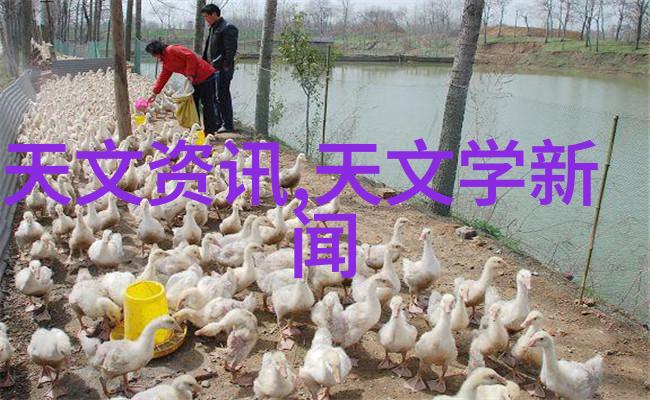 水源监测与环境保护揭开水质检测的神秘面纱