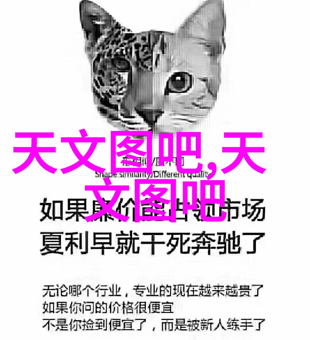 布袋除尘设备高效清洁技术