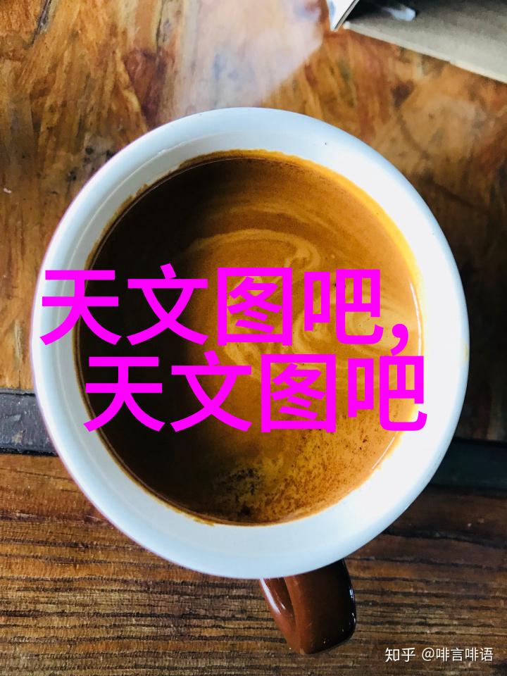 天文学科研动态高等教育数字化与课程思政建设研讨会启航