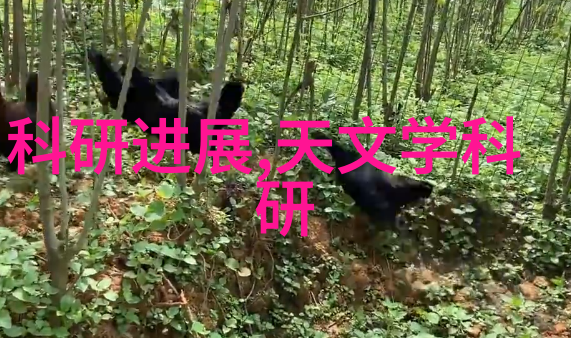 广东技术师范大学深耕教育创新