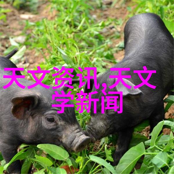 上证红利510880市盈率深度解析价值投资的新机遇与挑战