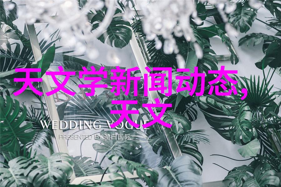 吸附剂我的生活中的小英雄